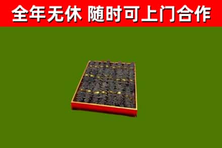 花莲县回收海参